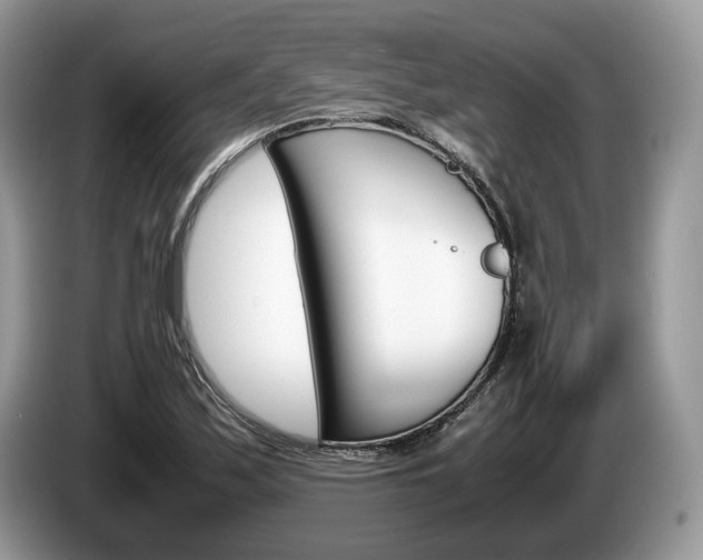 X0000087601171200704271038