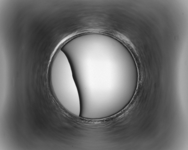 X0000087601174200704271038