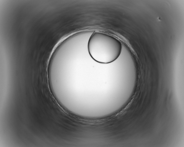 X0000087601176200704271038