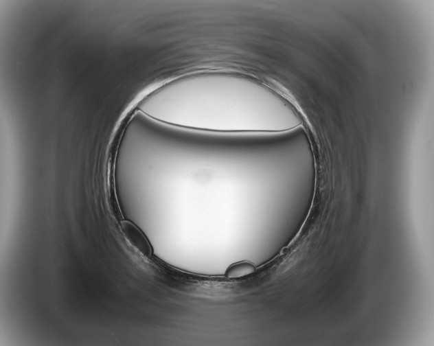 X0000087601179200704271038