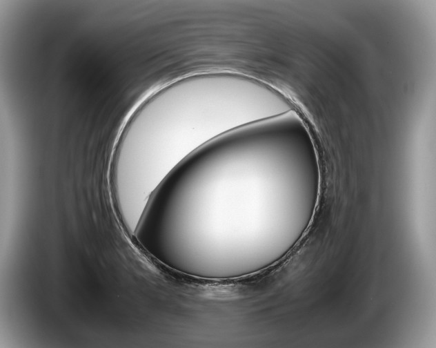 X0000087601181200704271038