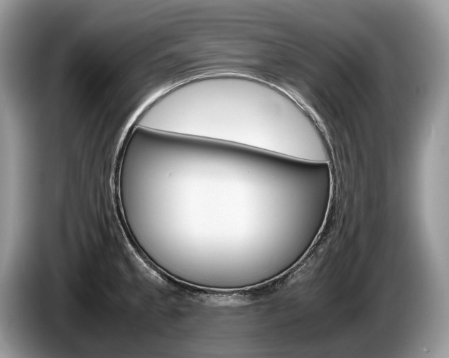 X0000087601189200704271038
