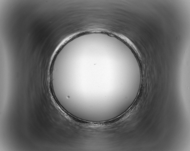 X0000087601191200704271037