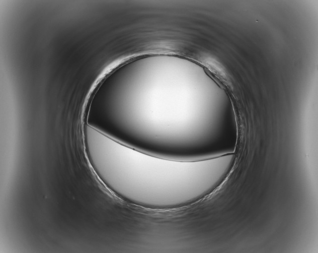 X0000087601192200704271037