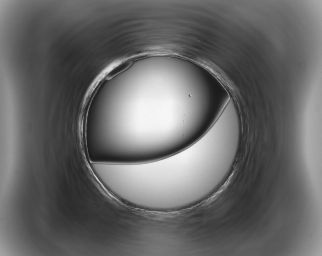 X0000087601196200704271037