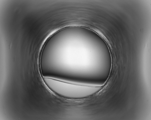 X0000087601197200704271037
