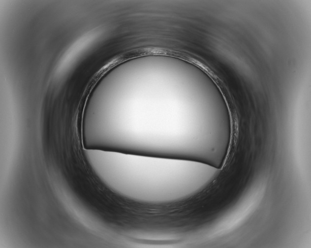 X0000087601198200704271037