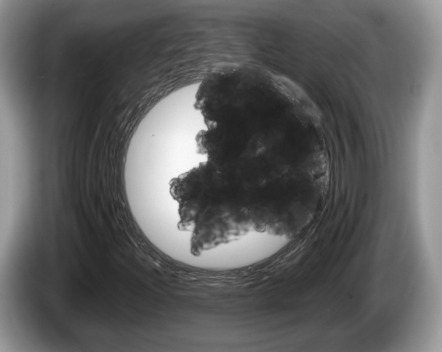 X0000087601204200704271037