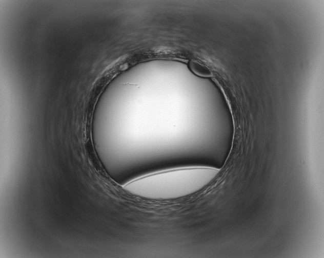 X0000087601205200704271037