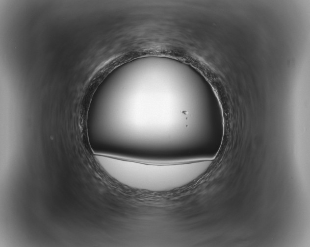 X0000087601206200704271037