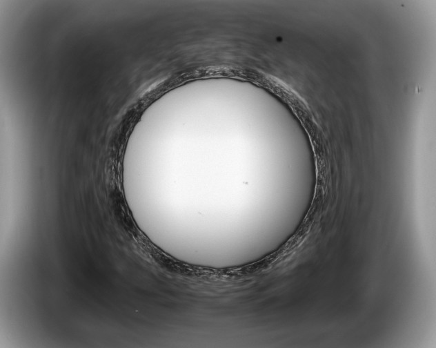 X0000087601207200704271037