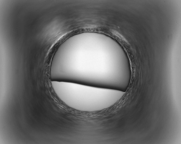 X0000087601208200704271037