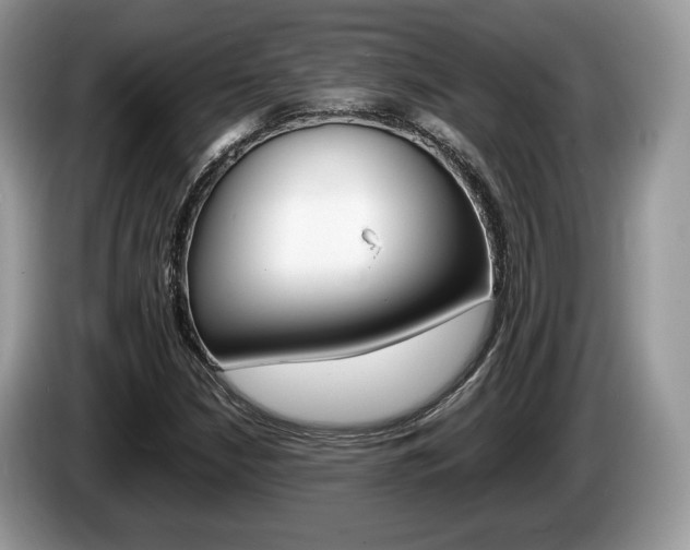 X0000087601210200704271037