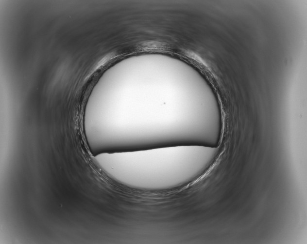 X0000087601211200704271037