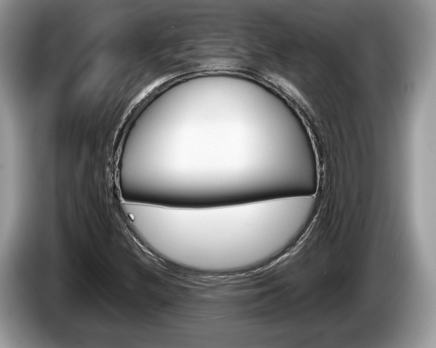 X0000087601212200704271037