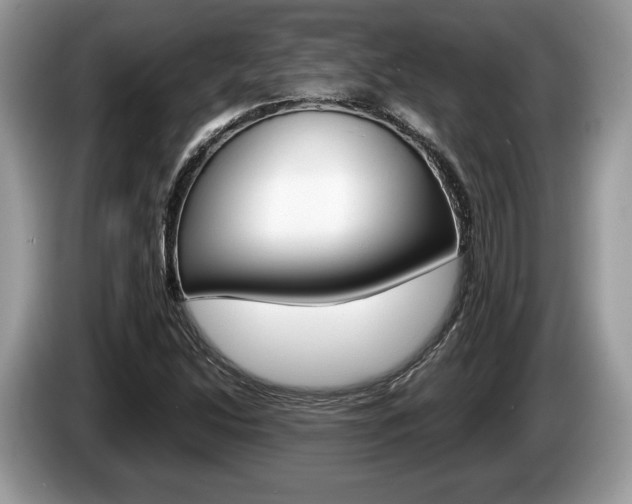 X0000087601214200704271037
