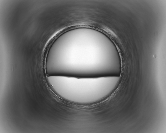 X0000087601216200704271037