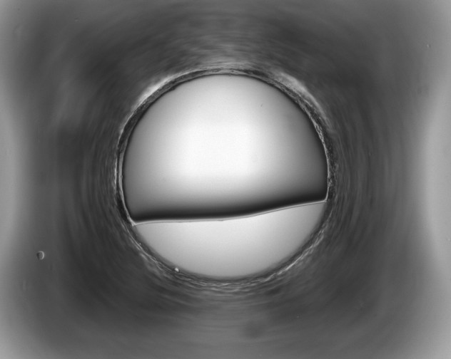 X0000087601220200704271037