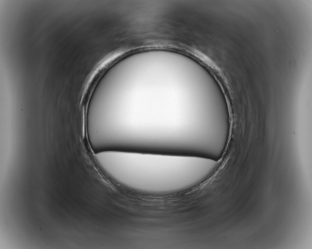 X0000087601223200704271037