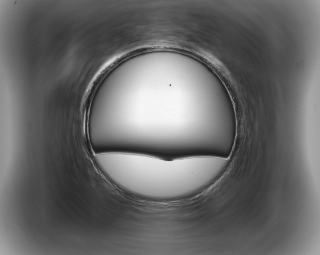 X0000087601224200704271037