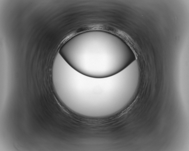 X0000087601225200704271037