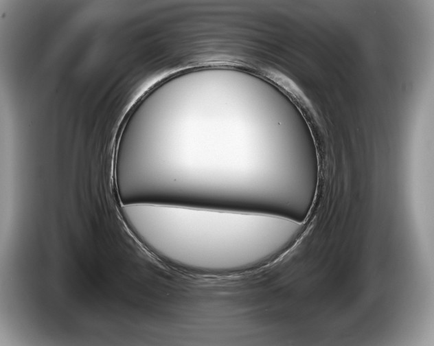 X0000087601228200704271037