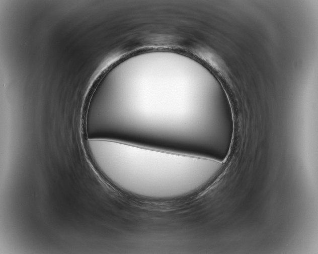 X0000087601229200704271037