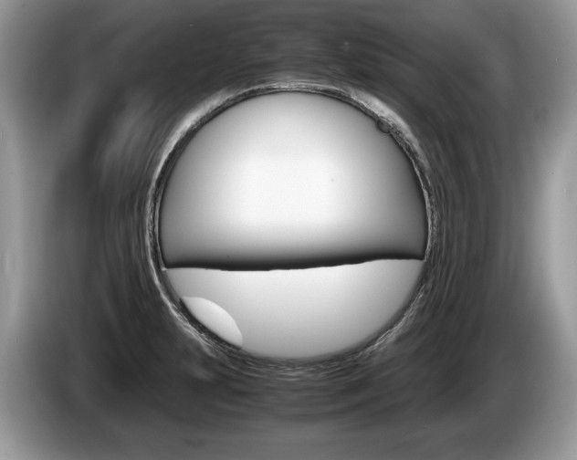 X0000087601231200704271037