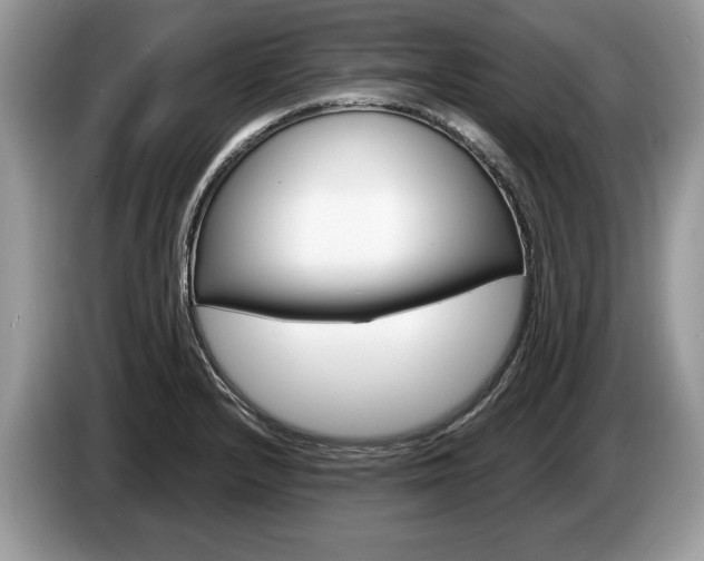 X0000087601232200704271037