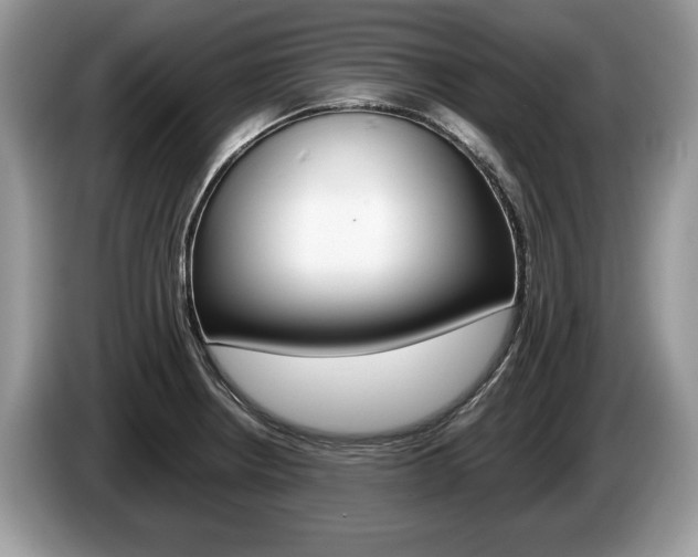 X0000087601234200704271037