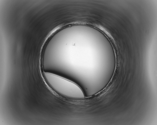 X0000087601237200704271037