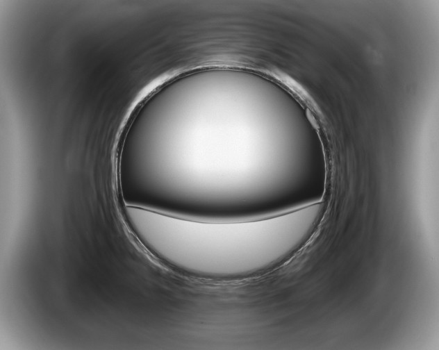 X0000087601238200704271037