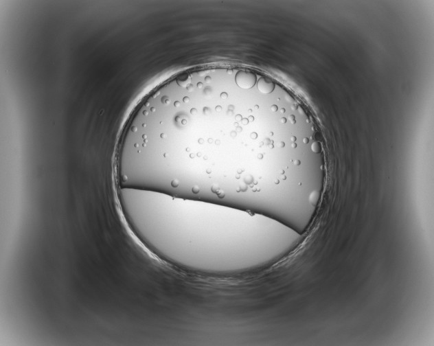 X0000087601239200704271037