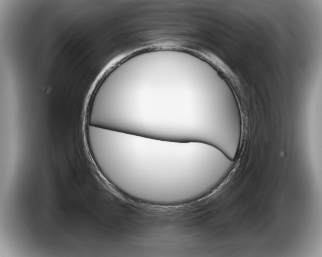 X0000087601240200704271037
