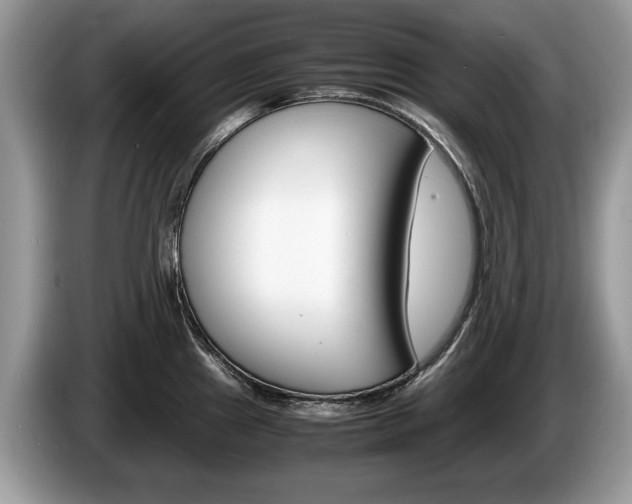X0000087601241200704271037