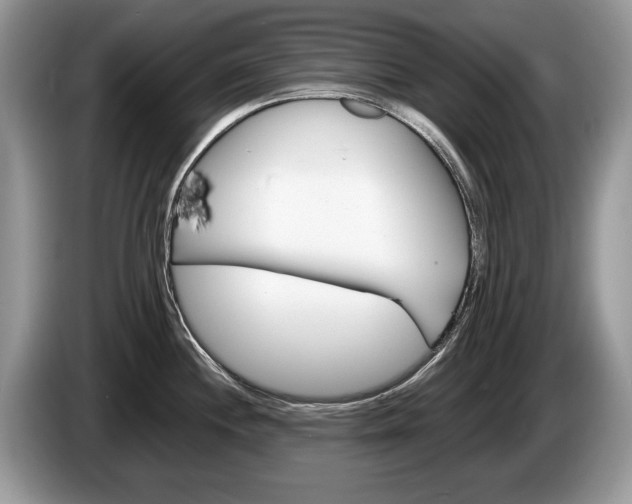 X0000087601244200704271037