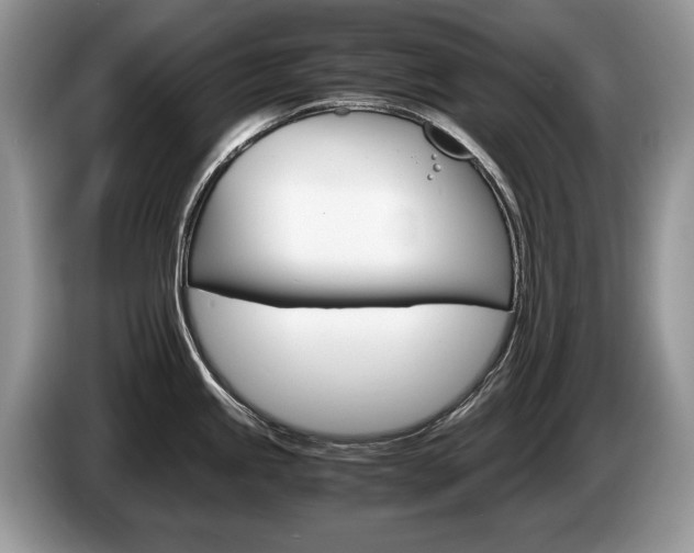 X0000087601245200704271037