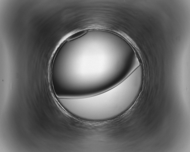 X0000087601246200704271037