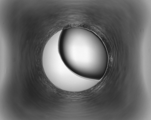 X0000087601252200704271037
