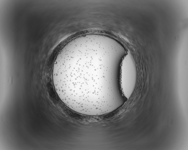 X0000087601255200704271037