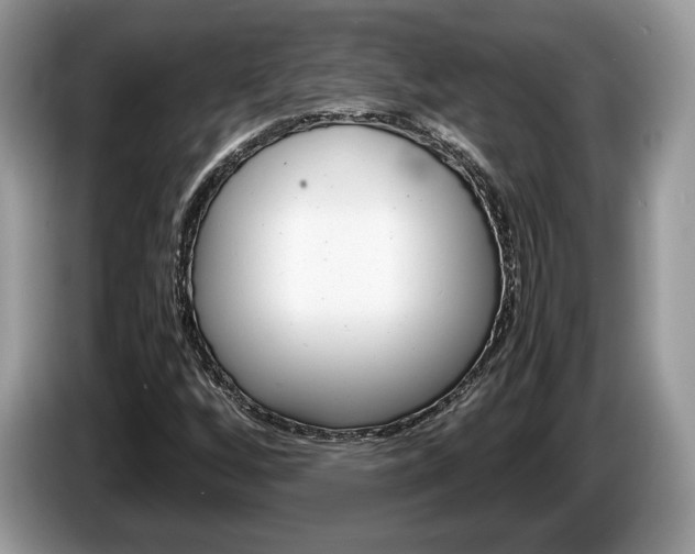X0000087601256200704271037