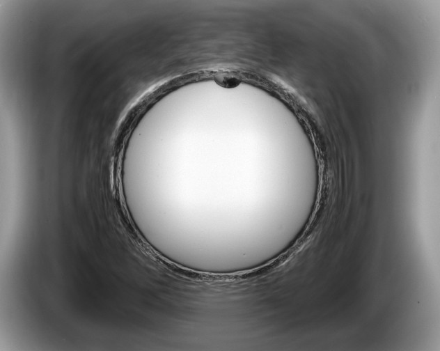 X0000087601262200704271037