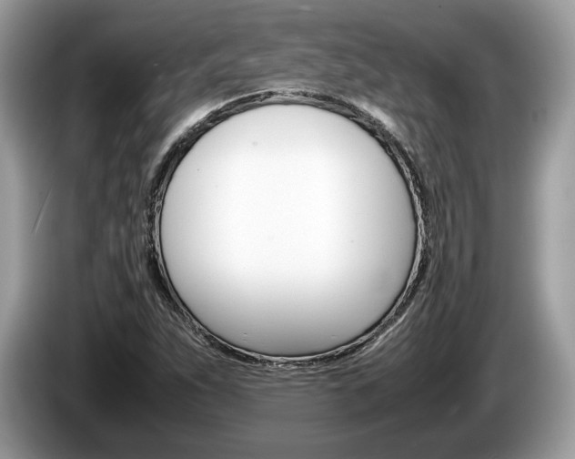 X0000087601263200704271037