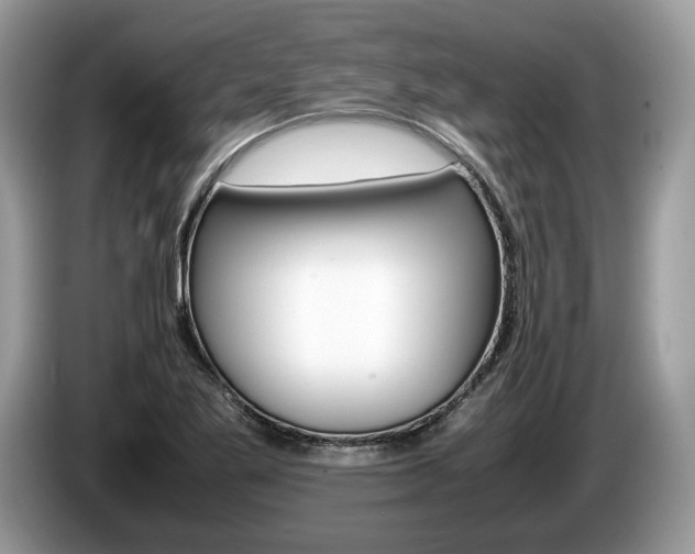 X0000087601269200704271037
