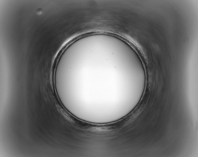 X0000087601272200704271037