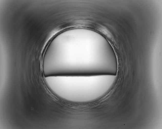 X0000087601275200704271037