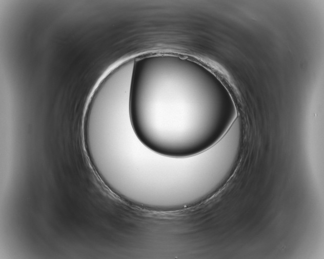 X0000087601280200704271036