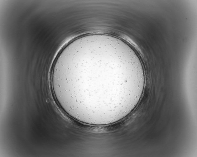 X0000087601283200704271036