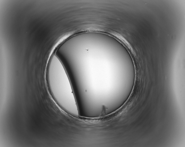 X0000087601285200704271036