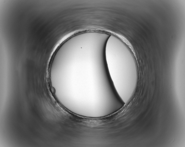 X0000087601287200704271036
